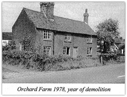 Orchard-78