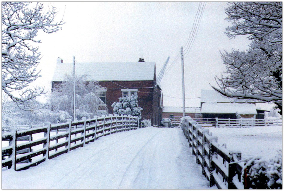 winter