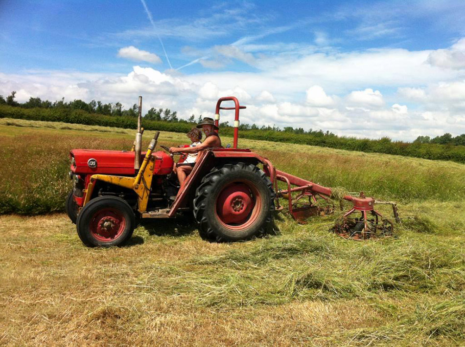 Dave-Mowing